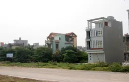 Dự án nào được chia lô, bán nền?