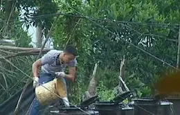 Niêm phong "điểm đen" pha chế xăng dầu trái phép