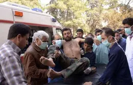 NATO không có kế hoạch can thiệp vào Syria
