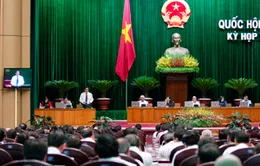 Bộ trưởng Cao Đức Phát: Tạm trữ lúa gạo là biện pháp trước mắt