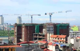 Nhà thầu Việt Nam chỉ vào vai phụ?