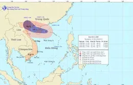 Bão số 2 tiến sát bờ biển Quảng Ninh - Hải Phòng