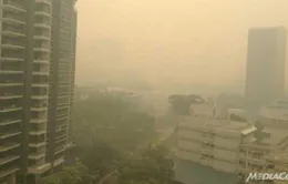Du lịch Singapore thất thu vì khói bụi 