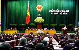 Quốc hội chưa thông qua Luật Đất đai sửa đổi 