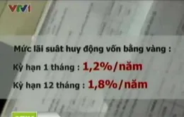 NHNN yêu cầu tạm dừng nhận gửi vàng của dân 