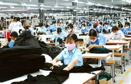 Xuất khẩu dệt may đạt 8,9 tỷ USD   