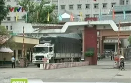 Bấp bênh hoạt động xuất khẩu nông sản sang Trung Quốc