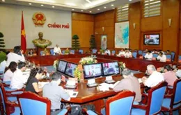 Đã xuất hiện tình trạng bao che tội phạm 