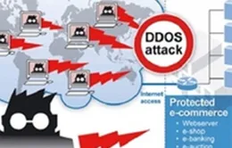 Hacker tấn công 437 website Việt Nam trong 30 ngày  