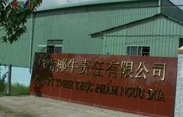 Địa phương không hiểu luật, doanh nghiệp FDI tự ý thuê đất 