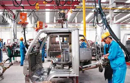 Doanh nghiệp Việt Nam hưởng lợi gì từ TPP? 