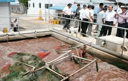 Tình trạng bỏ hoang các khu công nghiệp ở ĐBSCL 