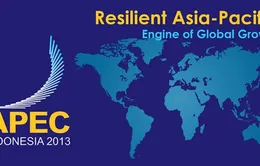 Đóng góp của Việt Nam trong APEC  