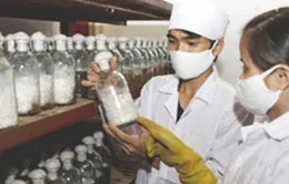 Việt Nam - Hà Lan hợp tác phát triển kinh tế