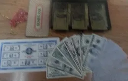 Tin thêm về vụ lừa đảo mang tên "Hoa Mai Hội"