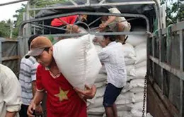 Gạo cứu trợ khẩn cấp đã về trung tâm lũ của Hà Tĩnh