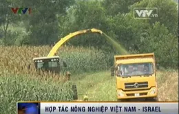 Mở rộng hợp tác nông nghiệp Việt Nam - Israel   