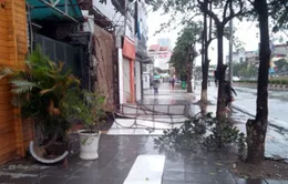 Hà Nội: Chưa xuất hiện tình trạng ngập úng