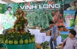 MDEC - Vĩnh Long 2013: Hướng đến nền kinh tế xanh 