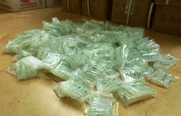 Bắt 160.000 ống thuốc kích thích tăng trưởng 