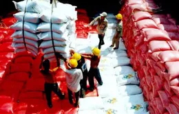 Xuất khẩu đạt trên 130 tỷ USD