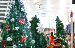 Chủ tịch UBMTTQ Việt Nam chúc mừng Giáng sinh 2013