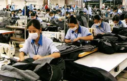 Năng suất dệt may, góc nhìn từ một nhà máy 