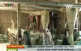 DN Việt Nam vẫn chưa thực sự thoát khỏi vùng đáy