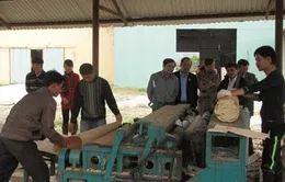 Thu hồi 26,5 tỷ đồng hỗ trợ DN tại tỉnh Điện Biên 