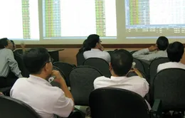 Thị trường chứng khoán phiên đầu năm tăng điểm tích cực 