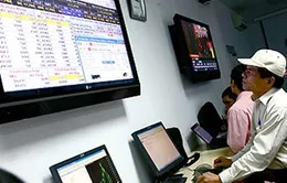 Kiên quyết xử phạt tổ chức không thực hiện cam kết lên sàn
