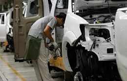 Thuế nhập khẩu nhiều loại ô tô ASEAN giảm 50%