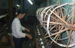 Tập đoàn Mỹ đầu tư công nghệ mới cho tơ tằm Việt Nam