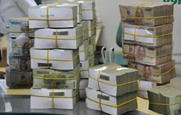 VAMC được dùng vốn để gửi ngân hàng, mua cổ phần