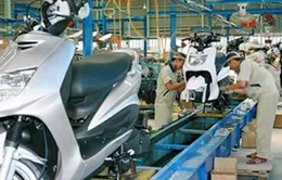 7 năm WTO: Nhiều DN khó khăn về thể chế 