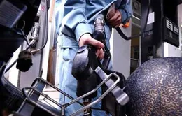 Xăng hòa vốn, dầu hỏa đang lãi đậm