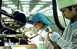 Việt - Nhật kết nối cơ hội kinh doanh 