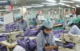 2013, Việt Nam lần đầu tiên xuất khẩu nguyên phụ liệu dệt may   