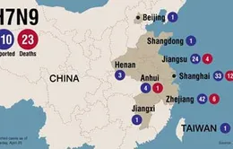 Trung Quốc: Phát hiện thêm các ca nhiễm cúm gia cầm mới 