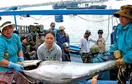 Mong ước từ chuyến biển đầu năm 