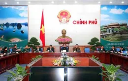 Chủ động ứng phó với biến đổi khí hậu 