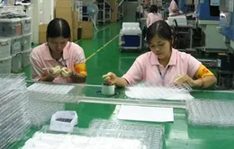 Dừng hoạt động 14 DN XKLĐ sang Đài Loan