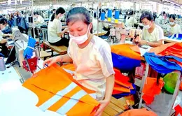 Kỷ luật người đứng đầu nếu chậm cổ phần hóa