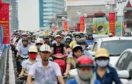 Vận hành cơ sở dữ liệu quản lý bảo hiểm xe cơ giới   