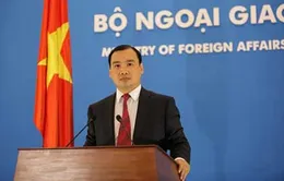 Việt Nam mong muốn Ukraine sớm ổn định