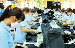 FTA Việt Nam - EU thúc đẩy đầu tư và cải tiến công nghệ