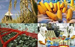 Gia nhập WTO: Kết quả và bài học kinh nghiệm 