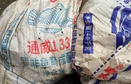 Thủy sản nhập lậu tung hoành thị trường trong nước