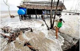 Biến đổi khí hậu ngày càng gây hậu quả khó lường