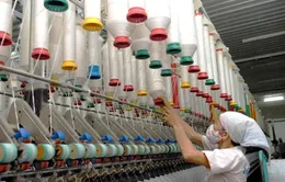 Thách thức rào cản phi thuế khi tham gia thị trường EU 